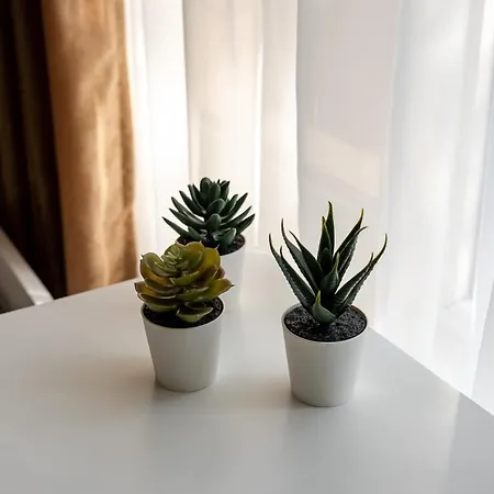 Apartment Second Next To Sea Garden *