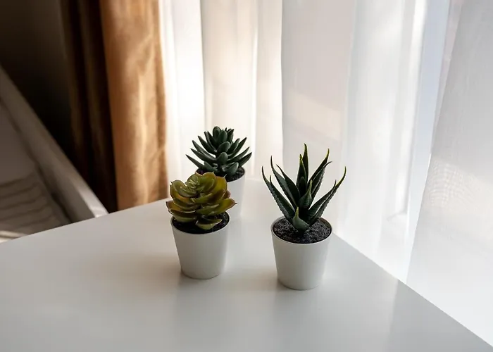 Appartamento Second Next To Sea Garden *